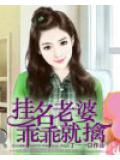 掛名老婆乖乖就擒小說