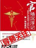 官場沉浮小說