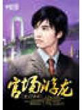 官場游龍小說