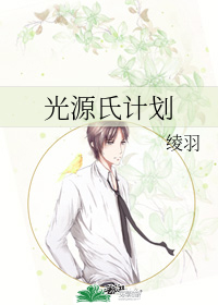 光源氏計劃小說