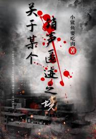 關於某個銷聲匿跡之境小說