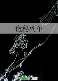 詭秘列車小說