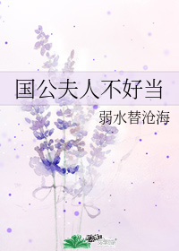 國公夫人不好當小說