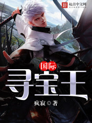 國際尋寶王小說