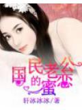 國民老公的蜜戀小說