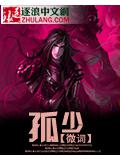 孤少小說
