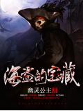 海盜的寶藏小說