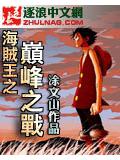海賊王之巔峰之戰小說