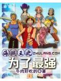 海賊王之爲了最強小說