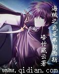 海賊之我是弗朗西斯小說
