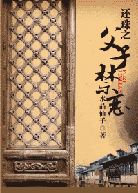 還珠之父子禁戀小說