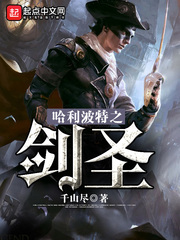 哈利波特之劍聖小說