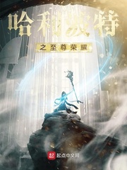 哈利波特之至尊榮耀小說