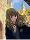 哈利的魔法世界小說