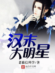 漢末大明星小說