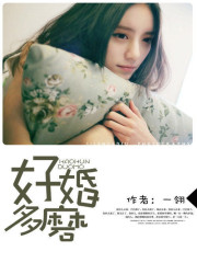 好婚多磨小說