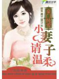 豪門純愛:小妻子請溫柔小說