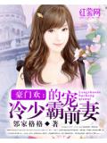 豪門歡：冷少的霸寵前妻小說