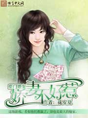 豪門婚寵：嬌妻不好惹小說
