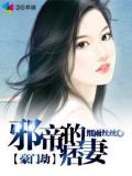 豪門劫:邪帝的痞妻小說