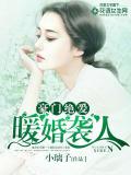 豪門絕愛：暖婚襲人 - 小璃子小說