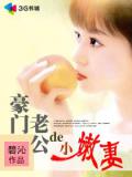 豪門老公的小嫩妻小說
