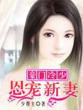豪門冷少：恩寵新妻小說