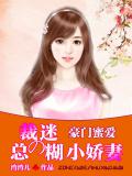 豪門蜜愛：總裁的迷煳小嬌妻小說