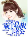 豪門秘婚:霸個總裁當老公小說