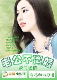 豪門迷情，老公不離婚小說