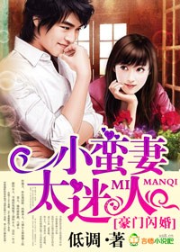 豪門閃婚，小蠻妻太迷人小說