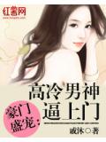 豪門盛寵：高冷男神逼上門小說