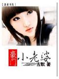 豪門小老婆小說