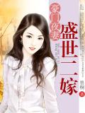 豪門夜妻：盛世二嫁小說