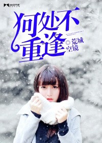 何處不重逢小說