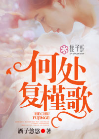 何處復槿歌小說