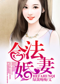 合法婚妻小說