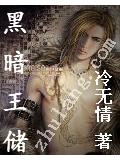 黑暗王儲小說