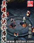 黑暗武俠登陸器小說