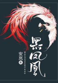 黑鳳凰.小說
