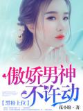 黑粉上位：傲嬌男神不許動小說