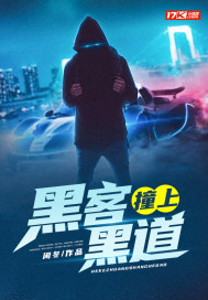 黑客撞上黑道小說