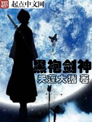 黑袍劍神小說