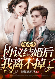 和蘇少協議結婚後我離不掉了小說