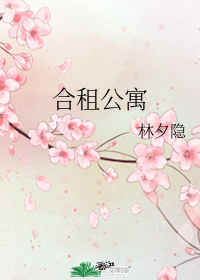 合租公寓小說