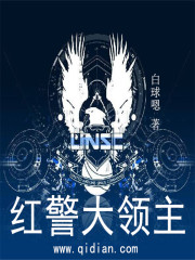 紅警大領主小說
