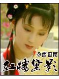 紅樓黛影小說