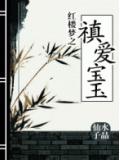 紅樓夢之禛愛寶玉小說