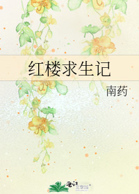 紅樓求生記小說
