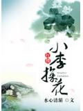 紅樓小李探花小說